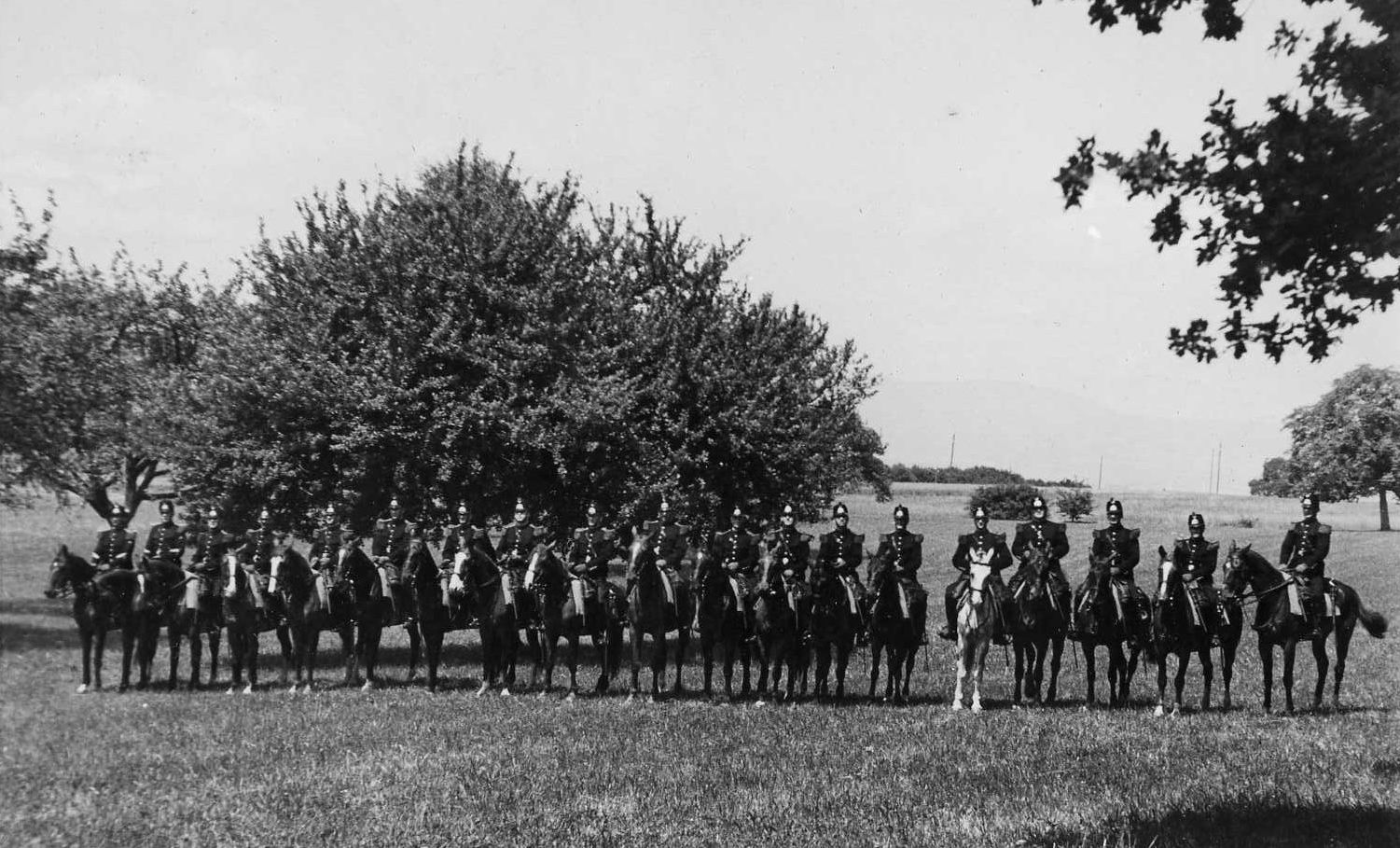 Devenir gendarme à cheval en France