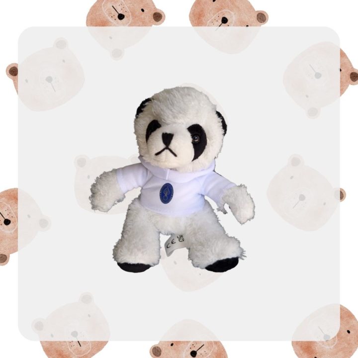 Nounours AHGV – Image 3